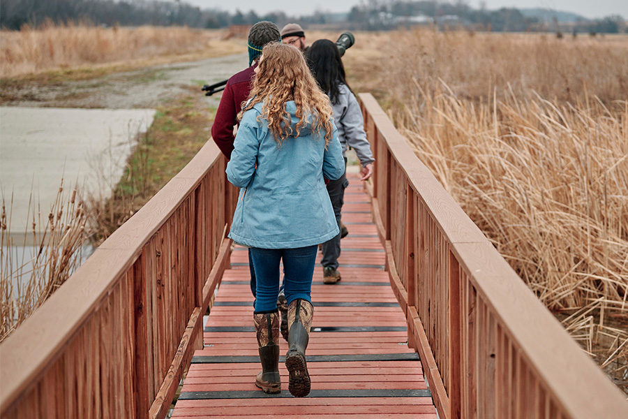 students walking along a bridge at the baker wetlands