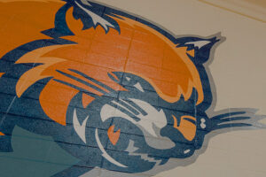 wildcat mascot painting on wall