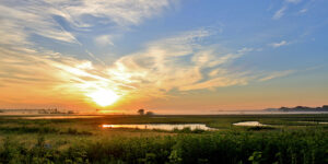 Baker Wetlands at sunset